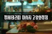 정체테라피 마사지 고양화정점
