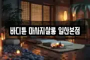 경기 고양시 일산동구 백석동 마사지, 지압등 업체정보