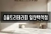 소울트리테라피 일산백석점