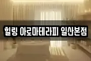 힐링 아로마테라피 일산본점