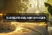 린나이경동귀뚜라미보일러분배기온수기수도배관
