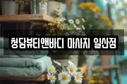 청담뷰티앤바디 마사지 일산점
