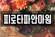 피로타파안마원