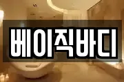 베이직바디