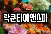락쿤타이앤스파