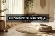 인터넷TV와이파이19000원유선방송9900원당일설치
