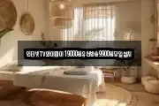 인터넷TV와이파이19000원유선방송9900원당일설치