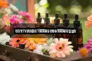 인터넷TV와이파이19000원유선방송9900원당일설치