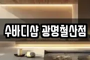 수바디샵 광명철산점