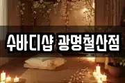 수바디샵 광명철산점