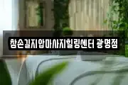 경기 광명시 마사지, 지압등 업체정보