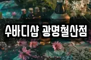 수바디샵 광명철산점