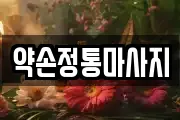 경기 광명시 하안동 마사지, 지압등 업체정보