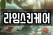 라임스킨케어
