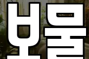 보물