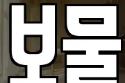 보물