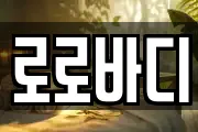로로바디