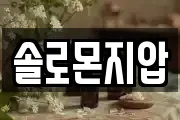 솔로몬지압