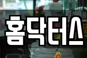 홈닥터스
