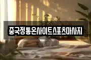 중국정통온사이트스포츠마사지