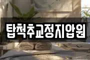 탑척추교정지압원