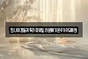 린나이경동귀뚜라미보일러분배기온수기수도배관