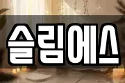 슬림에스