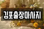 김포출장마사지