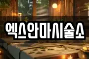 엑스안마시술소