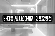 바디튠 웰니스마사지 김포운양점
