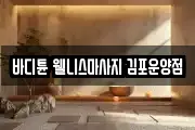바디튠 웰니스마사지 김포운양점