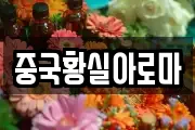 중국황실아로마