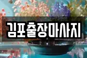 김포출장마사지