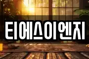 티에스이엔지