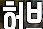 허브