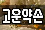 고운약손