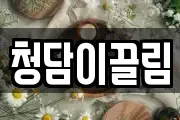 청담이끌림