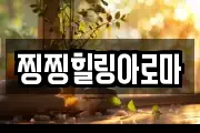 찡찡힐링아로마
