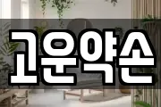 고운약손