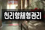 천리향체형관리