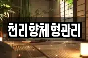 천리향체형관리