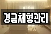 경금체형관리