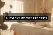 미니포크레인굴삭기덤프크레인스카이펌프카바브켓