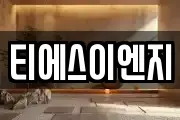 티에스이엔지
