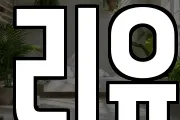 리유
