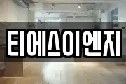 티에스이엔지