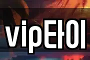 vip타이