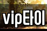 vip타이