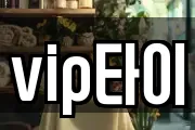 vip타이