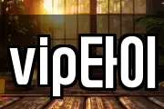 vip타이